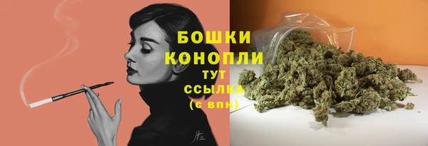 PSILOCYBIN Абинск
